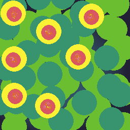water lilies